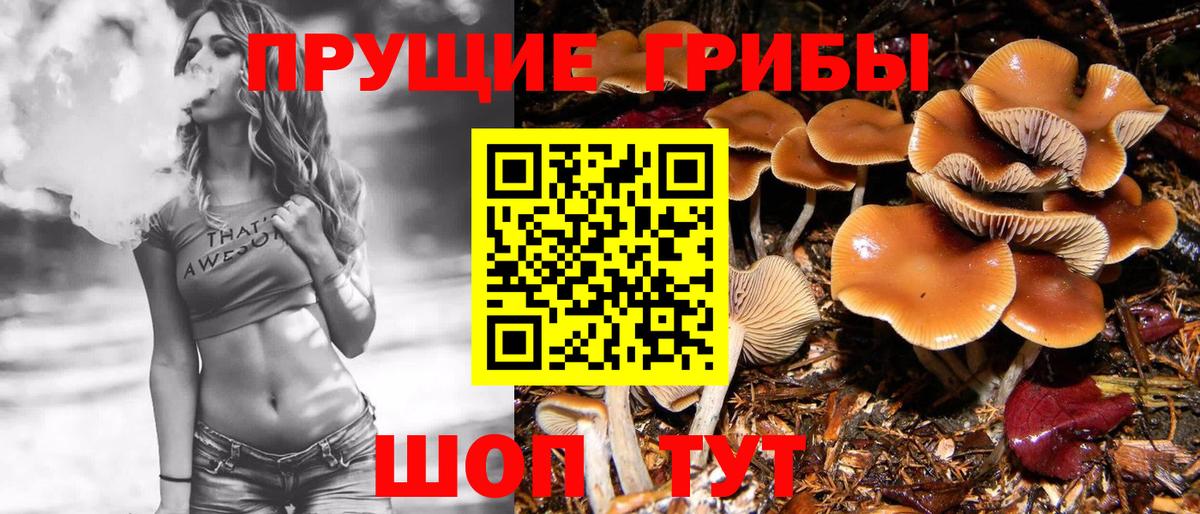 Псилоцибиновые грибы Cubensis  Вход с VPN  наркотики  Отрадное 