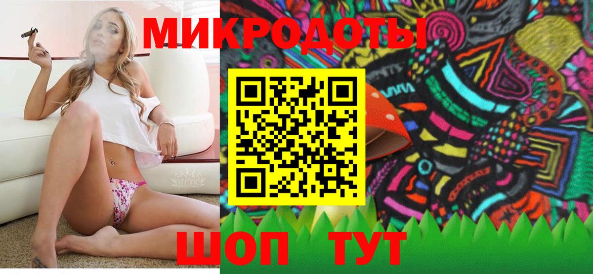 Псилоцибиновые грибы Psilocybine cubensis Отрадное