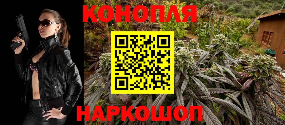 Марихуана сатива Отрадное